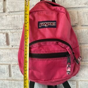 JanSport Pink Mini Backpack for Men